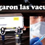 vacunas en el Perú