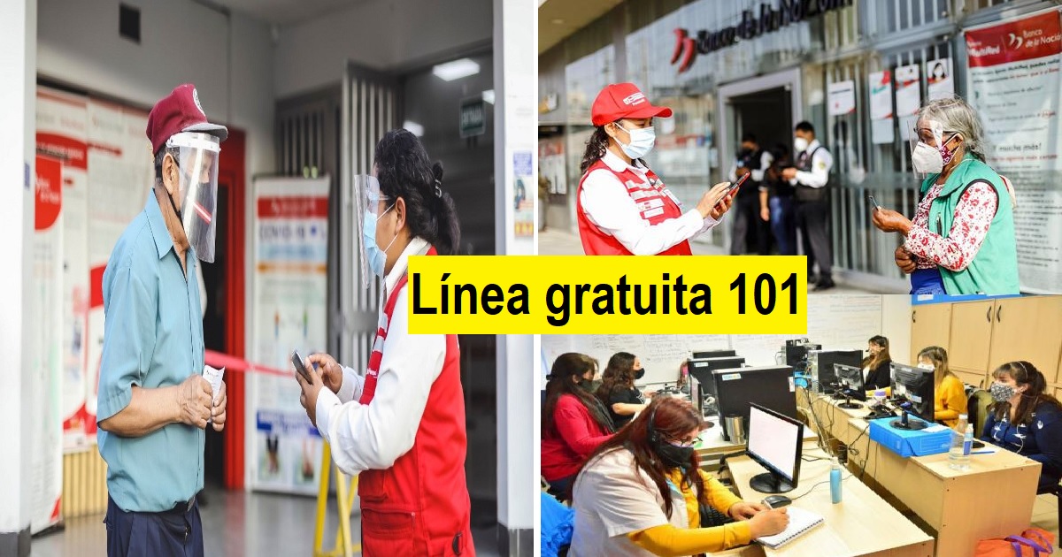 Línea gratuita 101