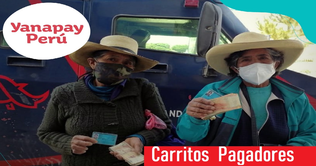 carritos pagadores