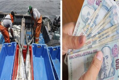 Bono Pescadores de mil soles