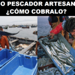 BONO PESCADOR ARTESANAL S/.700
