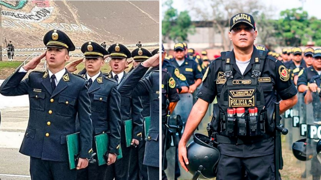 ¿Cuáles son los requisitos para la asimilación a la PNP?