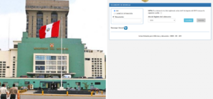 Consultar si cuento con alguna denuncia policial con DNI