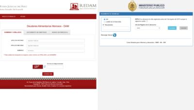 Consultar si me han denunciado por alimentos