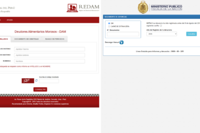 Consultar si me han denunciado por alimentos