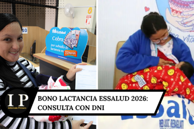 Bono Lactancia EsSalud 2026: consulta con DNI